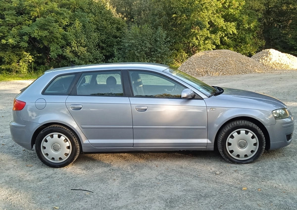 Audi A3 cena 19800 przebieg: 205000, rok produkcji 2005 z Stopnica małe 436